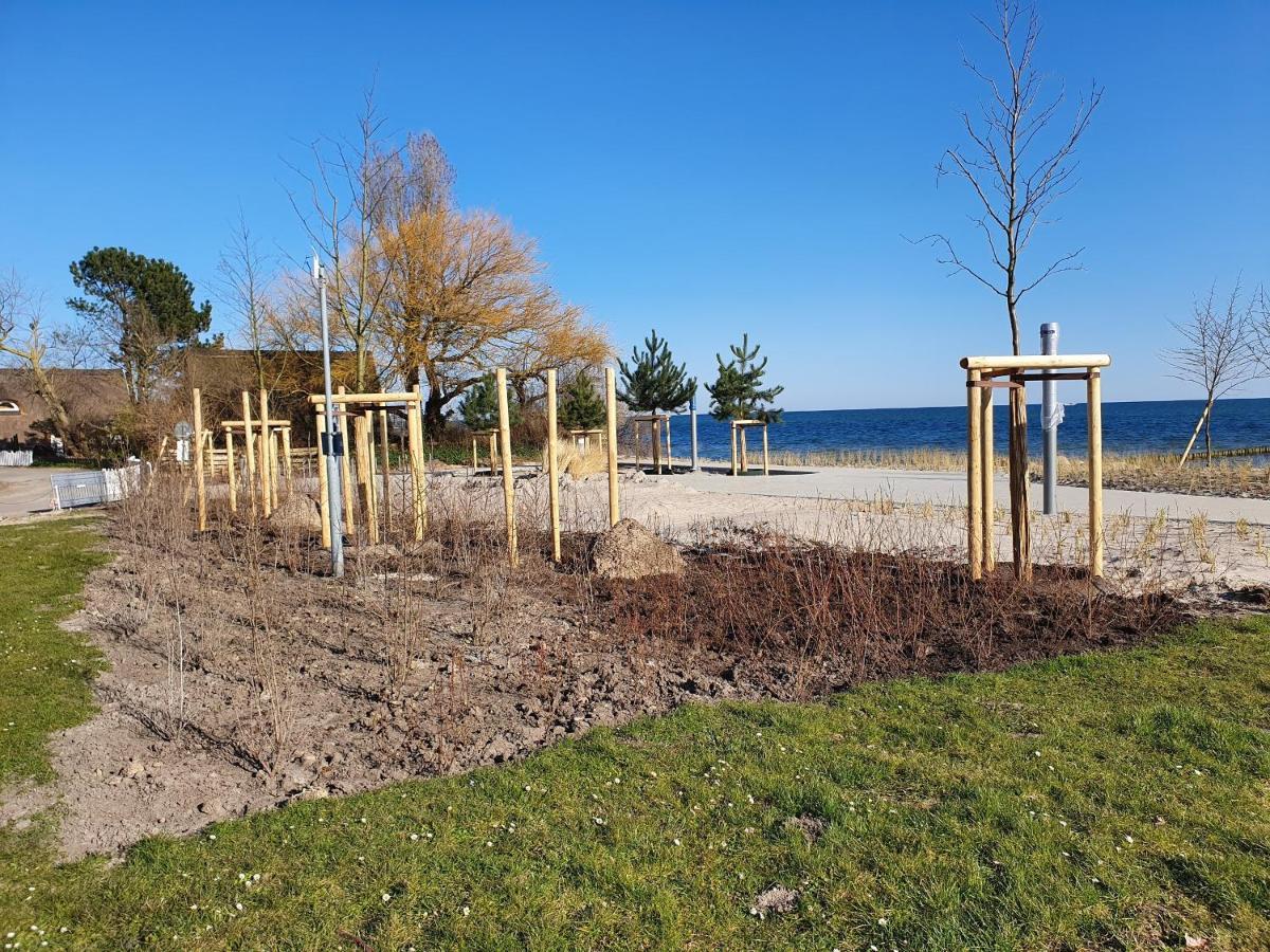 Sanddorn Haus Sanddorn - Whg 13 Großenbrode Zewnętrze zdjęcie